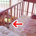 生まれたばかりの『…