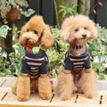 犬のオフ会に参加す…