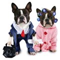犬についついやって…