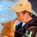 家族の帰宅を喜ぶ犬→…