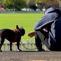 おばあちゃんが亡く…