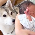 出産を終えた女性→1…