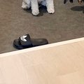 家に遊びに来た友人→…
