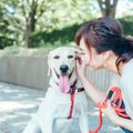 犬が喜ぶ『話しかけ…