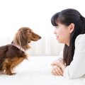 犬と心が通じてる飼…