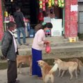 【優しい世界】犬の…