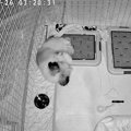 深夜3時、寝ている犬…