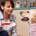 『食べ物』と『飼い…