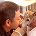 『犬を怖がっていた…