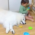 突然、小さな男の子…
