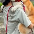 濡れるのが嫌いな『3…