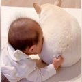 赤ちゃんが『犬のお…