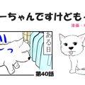 ちーちゃんですけど…