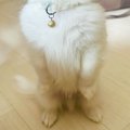 病院で注射をした赤…