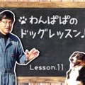 わんぱぱのドッグレ…