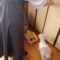 おばあちゃんの75歳…
