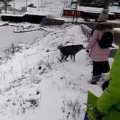 凍った川にはまった…