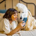 犬が自分のことを『…
