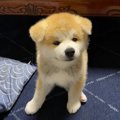 これは反則！イタズ…