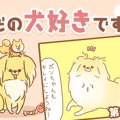 ただの犬好きです。…