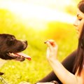 犬にとってオヤツは…