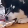 ママ友とランチして…