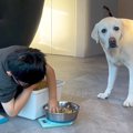 男の子が『犬のご飯…