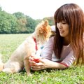 犬がそわそわしてし…