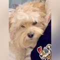 いつもパパに塩対応…