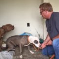 ごみ屋敷で犬を保護…