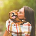犬と『信頼関係を築…