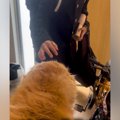 朝、家族全員の見送…