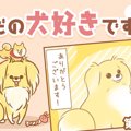 ただの犬好きです。…