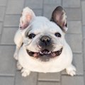 『指間炎』になりや…