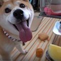 夏の風物詩！スイカ…