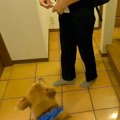朝、制服を着て玄関…
