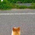 「皆さんが静かにな…