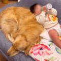 赤ちゃんが『3時間に…