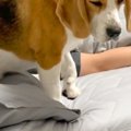夜、寝る前のベッド…