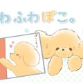 ふわふわぽこ。【第7…