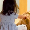 子供3人のお昼寝中、…