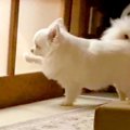 おばあちゃんの部屋…