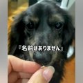 『名前はありません…