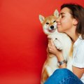 犬好きに多い性格と…