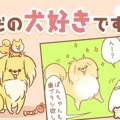 ただの犬好きです。…