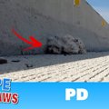 高速道路にうずくま…
