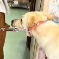病院に来たらビビり…