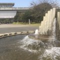 都会のオアシス「舎…