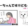 ちーちゃんですけど…