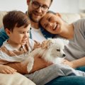 犬を飼い始めたばか…